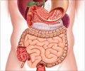 胃肠病学