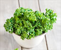 羽衣甘蓝——超级绿色蔬菜